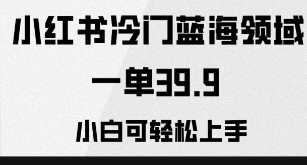 小红书冷门蓝海领域，一单39.9，小白可轻松上手-心语项目网