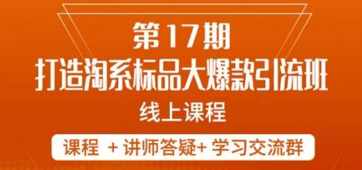 南掌柜-第17期打造淘系标品大爆款，5天线上课-心语项目网