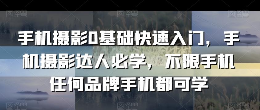 手机摄影0基础快速入门，手机摄影达人必学，不限手机任何品牌手机都可学-心语项目网