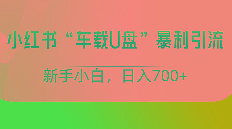 小红书“车载U盘”项目，暴利引流，新手小白轻松日入700+-心语项目网