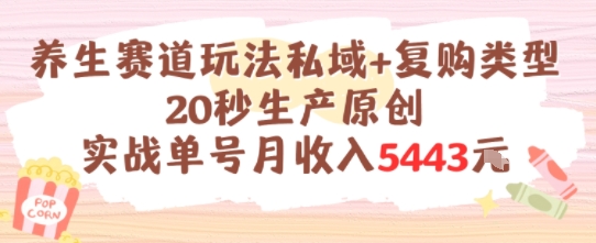 养生赛道玩法私域+复购类型，20秒生产原创实战单号月收入5k+-心语项目网
