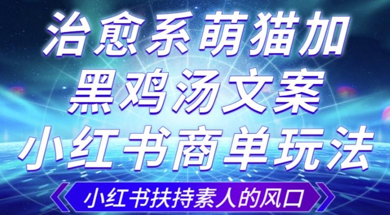 治愈系萌猫加+黑鸡汤文案，小红书商单玩法，3~10天涨到1000粉，一单200左右-心语项目网