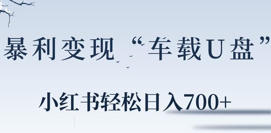 小红书“车载U盘”暴利引流，日入700+-心语项目网