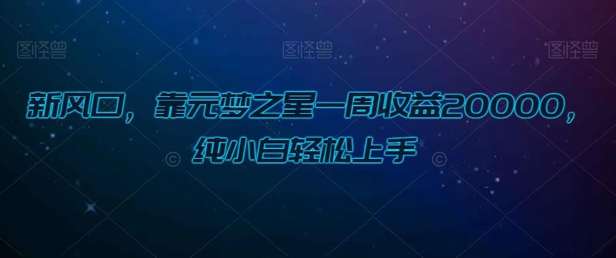 新风口，靠元梦之星一周收益20000，纯小白轻松上手-心语项目网
