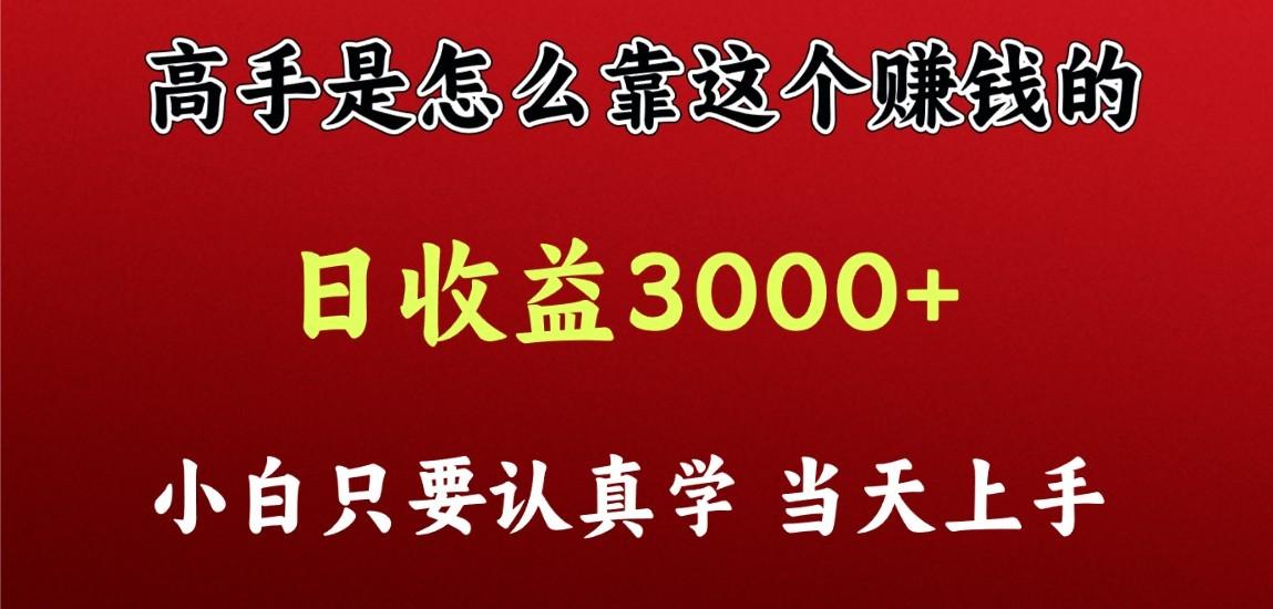 看高手是怎么赚钱的，一天收益至少3000+以上，小白当天上手-心语项目网
