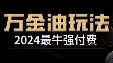 2024最牛强付费，万金油强付费玩法，干货满满，全程实操起飞(更新25年04月)-心语项目网