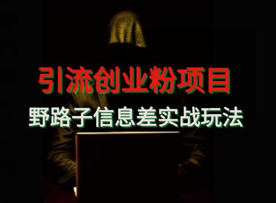 【引流创业粉】野路子信息差玩法实战教学-心语项目网