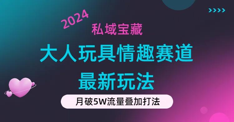 私域宝藏：大人玩具情趣赛道合规新玩法，零投入，私域超高流量成单率高-心语项目网