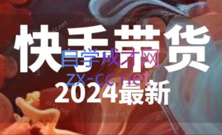 快手带货(2024最新)-心语项目网