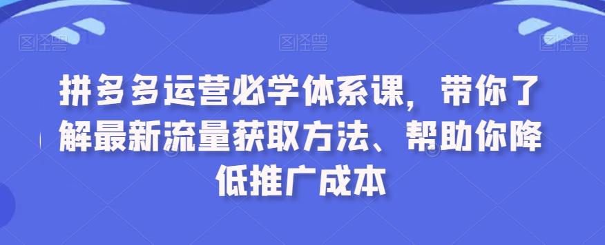 拼多多运营必学体系课，带你了解最新流量获取方法、帮助你降低推广成本-心语项目网