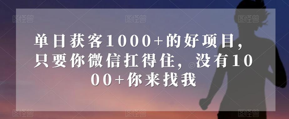 单日获客1000+的好项目，只要你微信扛得住，没有1000+你来找我【揭秘】-心语项目网