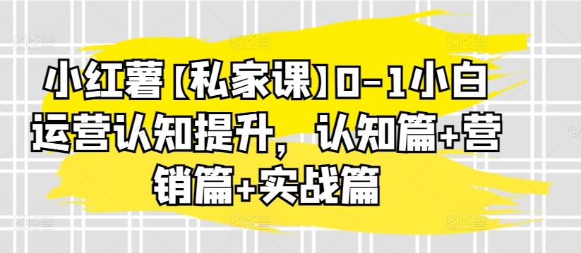小红薯【私家课】0-1小白运营认知提升，认知篇+营销篇+实战篇-心语项目网