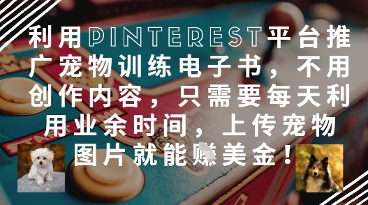 利用Pinterest平台推广宠物训练电子书，不用创作内容，只需要每天利用业余时间，上传宠物图片就能挣美金!-心语项目网