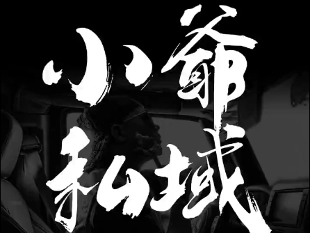 小爷·私域项目操盘手-心语项目网