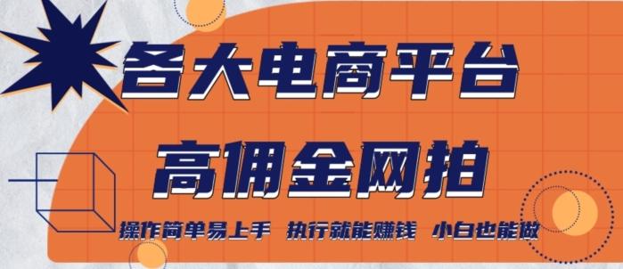 各大电商平台高佣金网拍,操作简单易上手,执行就能赚钱,小白也能做