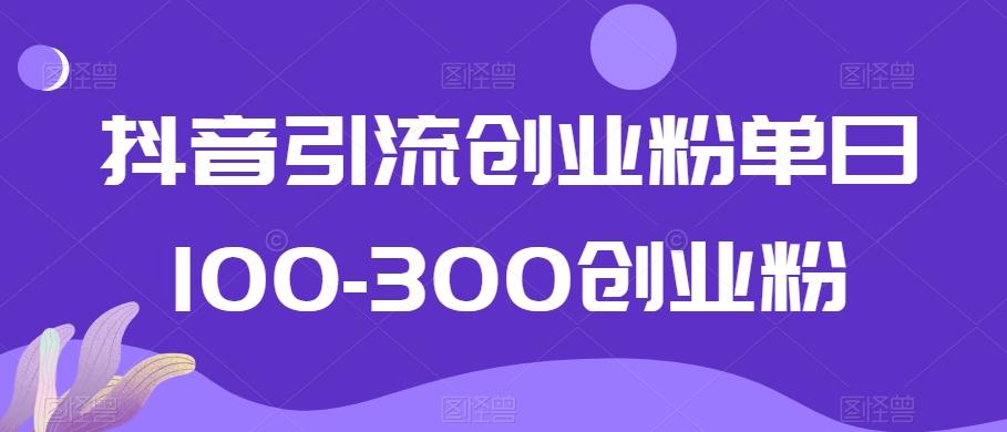 抖音引流创业粉单日100-300创业粉【揭秘】-心语项目网