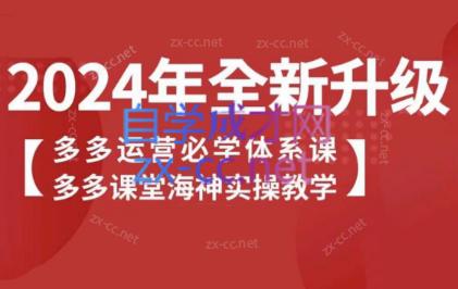 海神老师·拼多多运营必学体系课-心语项目网