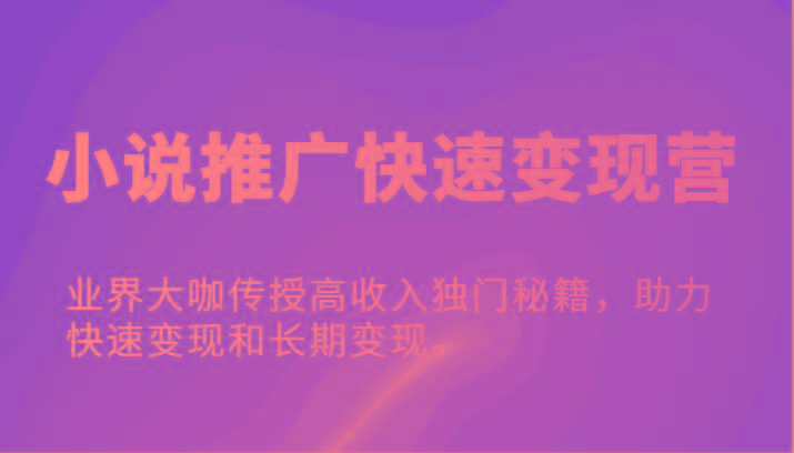 小说推广快速变现营-业界大咖传授高收入独门秘籍，助力快速变现和长期变现。-心语项目网