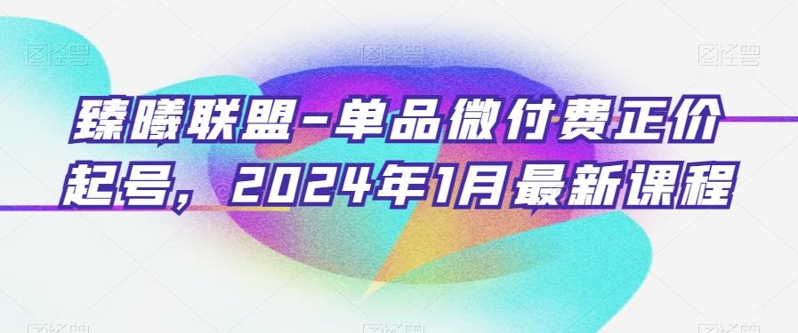 臻曦联盟-单品微付费正价起号，2024年1月最新课程-心语项目网