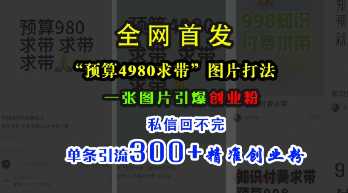 小红书“预算4980带我飞”图片打法，一张图片引爆创业粉，私信回不完，单条引流300+精准创业粉-心语项目网