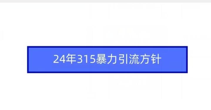 24年315暴力引流方针-心语项目网