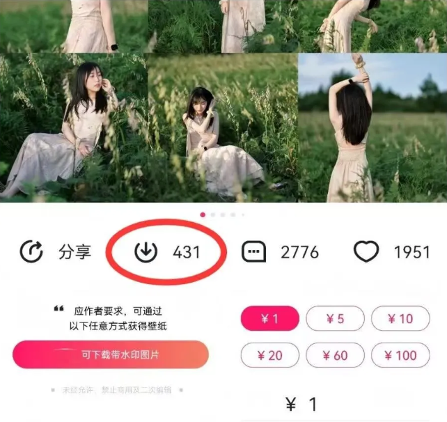 最新图虫搬运项目,收益无上限,利用AI小白也可日赚500+-心语项目网