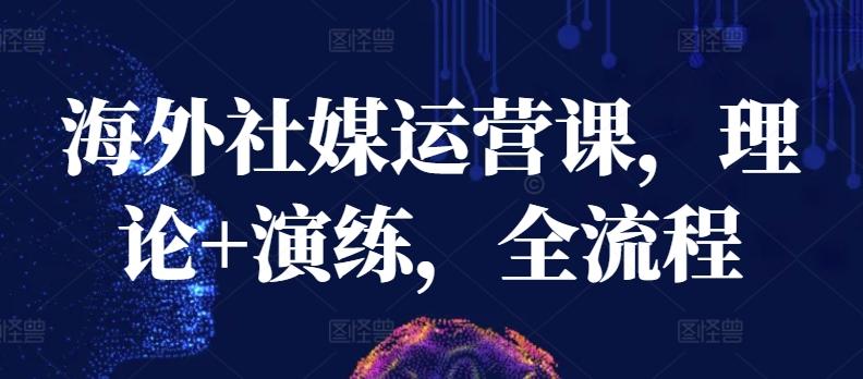 海外社媒运营课，理论+演练，全流程-心语项目网