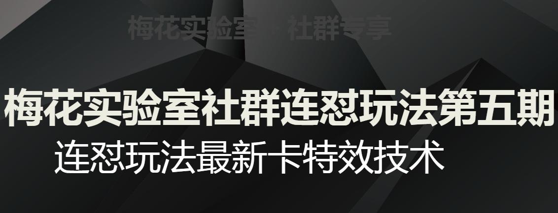 梅花实验室社群连怼玩法第五期，视频号连怼玩法最新卡特效技术-心语项目网