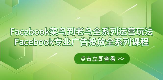 Facebook-菜鸟到老鸟全系列运营玩法+Facebook-专业广告投放全系列课程-心语项目网