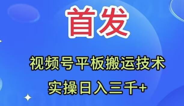 全网首发：视频号平板搬运技术，实操日入三千＋-心语项目网