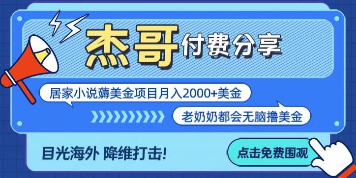 拆解海外撸美金项目月入2000美刀详细指导-心语项目网
