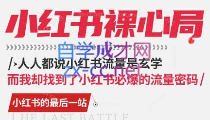月月老师·小红书低粉高变现课-心语项目网