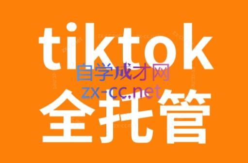 TikTok跨境电商全托管运营模式精品课-心语项目网