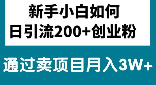新手小白日引流200+创业粉,通过卖项目月入3W+-心语项目网