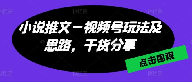 小说推文—视频号玩法及思路，干货分享-心语项目网