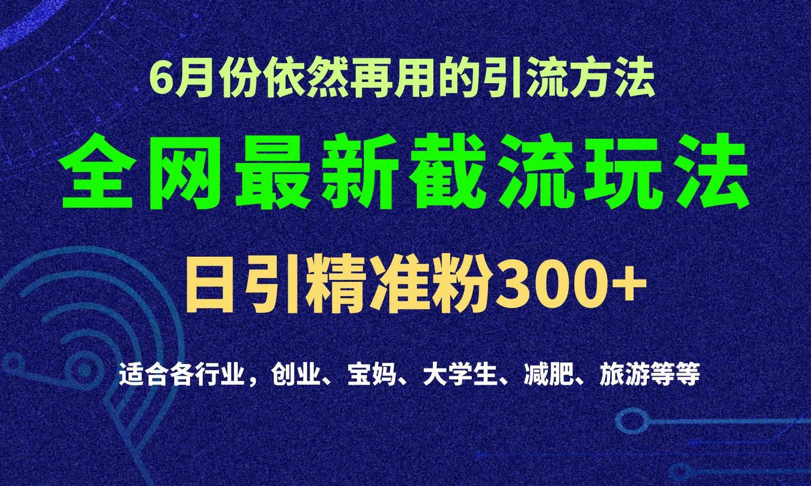 2024全网最新截留玩法,每日引流突破300+-心语项目网