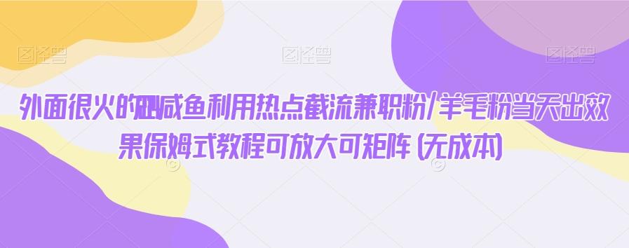 外面很火的2024咸鱼利用热点截流兼职粉/羊毛粉当天出效果保姆式教程可放大可矩阵(无成本)-心语项目网
