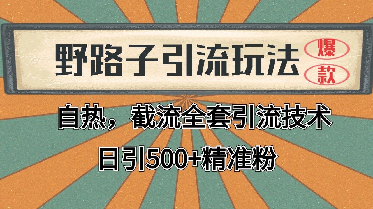 2024首发野路子引流玩法截流自热全平台打法,全自动引流【日引2000+精准客户】-心语项目网