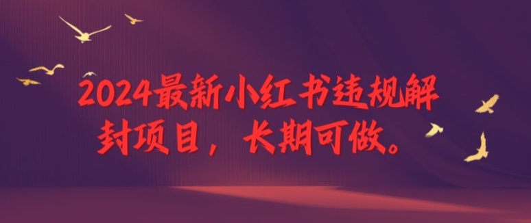 2024最新小红书违规解封项目，长期可做，一个可以做到退休的项目【揭秘】-心语项目网