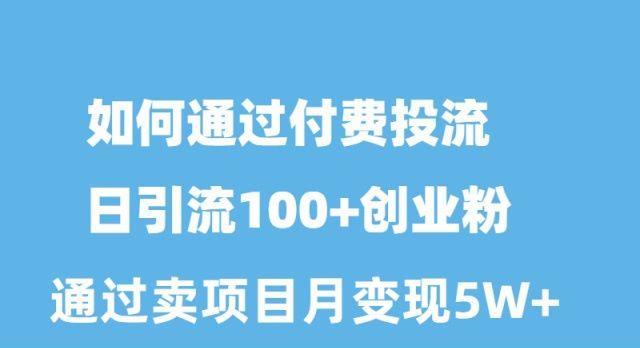 如何通过付费投流日引流100+创业粉月变现5W+-心语项目网
