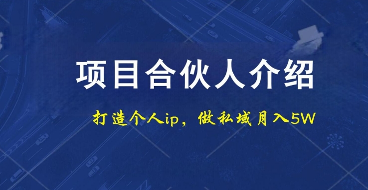 项目合伙人项目，打造个人IP，做私域月入5W，小白勿扰-心语项目网