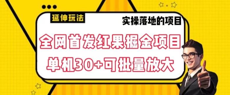 全网首发红果免费短剧掘金项目，单机30+可批量放大【揭秘】-心语项目网