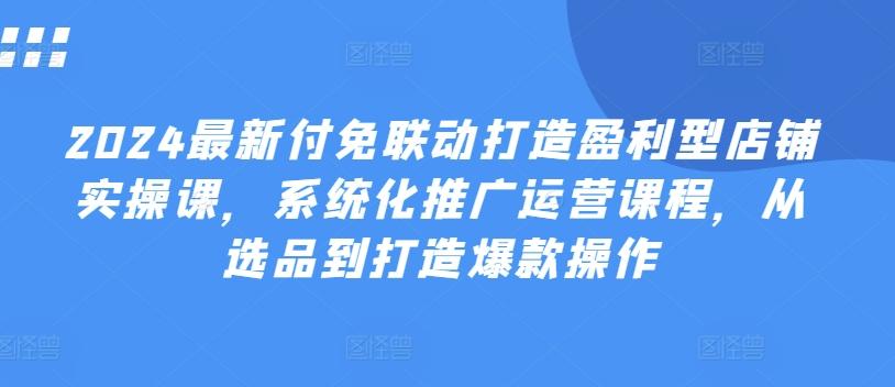 2024最新付免联动打造盈利型店铺实操课，​系统化推广运营课程，从选品到打造爆款操作-心语项目网