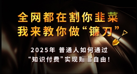 知识付费如何做到月入过W+，2025我来教你做“镰刀”【揭秘】-心语项目网