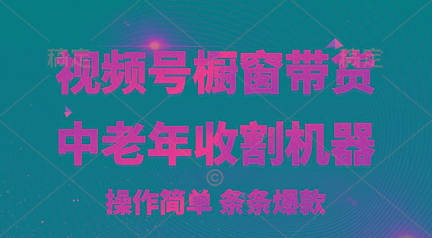 [你的孩子成功取得高位]视频号最火爆赛道，橱窗带货，流量分成计划，条…-心语项目网