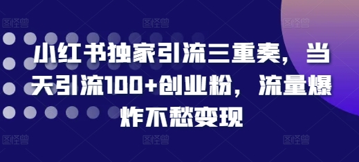 小红书独家引流三重奏，当天引流100+创业粉，流量爆炸不愁变现【揭秘】-心语项目网