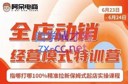 阿呆电商·全店动销经营模式特训营(线下录音+思维导图)-心语项目网