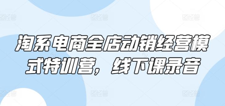 淘系电商全店动销经营模式特训营，线下课录音-心语项目网