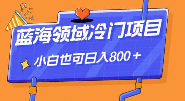 蓝海领域冷门赛道，一单39.9，日入800＋-心语项目网