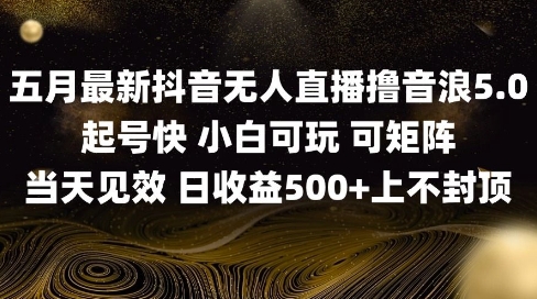 2025五月最新无人直播撸音浪单日产出5张+实操教程【揭秘】-心语项目网
